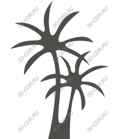  Illustration of tropical palm trees