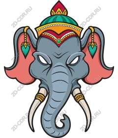Majestic elephant head