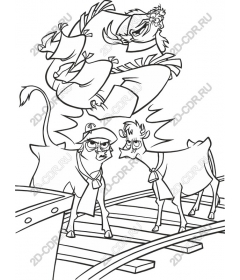  Fancy meeting a cow