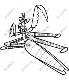 Mantis - fat line art
