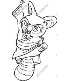 Raccoon is ready for adventure