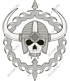  Череп викинга
