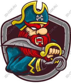  Fierce Pirate
