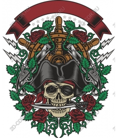The Adventures Of A Pirate Skull