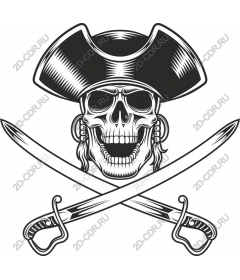 Pirate skull with crossed swords