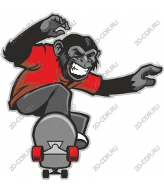  Energetic monkey-the skateboarder