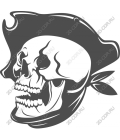 Pirate Skull