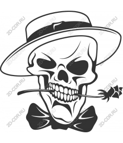  Dapper skull
