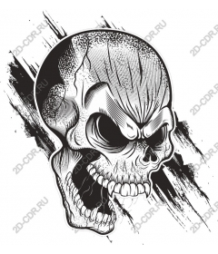  Black and white skull