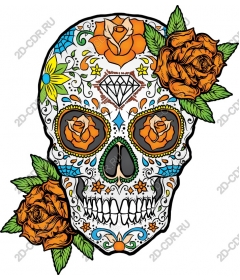 Colorful skull for Day of the dead