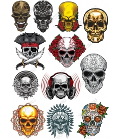 Set of skulls - 12 unique