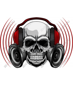 Headphones Skulls