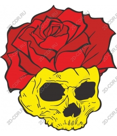  Череп и роза