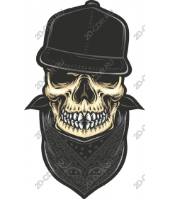 Urban Skull