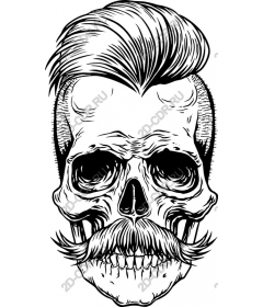 Vintage skull with a mustache