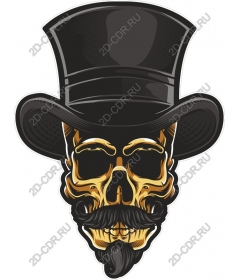 Vintage skull in the cylinder