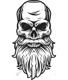 Magnificent skull with a beard