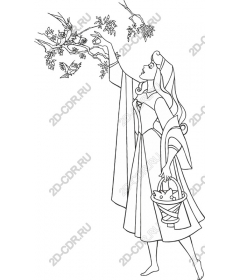  Charming Princess Connection with nature