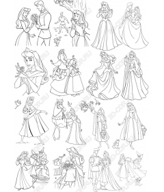Set "Fairy Princess"