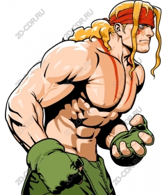  Brawny fighter