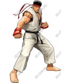 Warrior martial arts