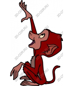 Playful monkey