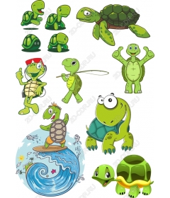 Turtle set