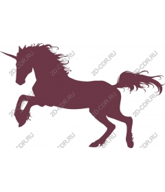  Charming unicorn