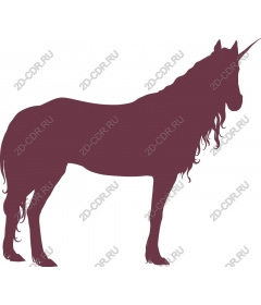  Charming unicorn
