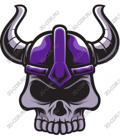  The skull of a Viking