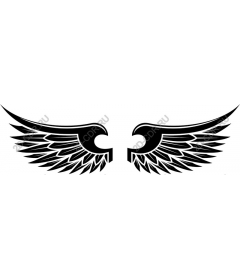  Black Wing