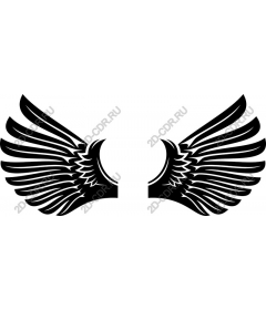  Elegant The Wings