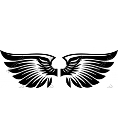  Elegant The Wings