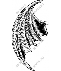  Elegant wing