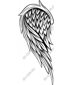  Elegant angel wing