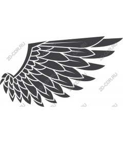  Elegant wing