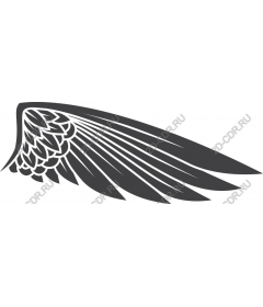  Elegant wing