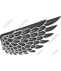 Majestic wing
