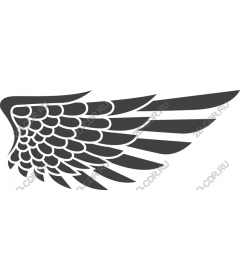  A stylized bird's wing