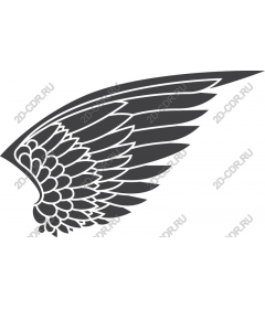  Elegant wing