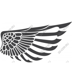  Elegant wing