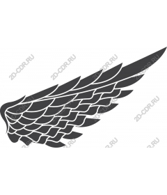  Elegant wing