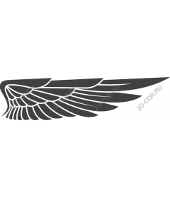  Elegant wing