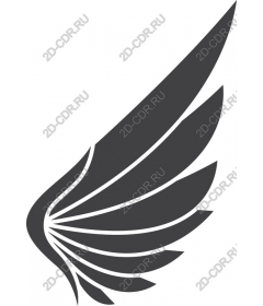  Elegant wing