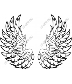Intricate angel wings