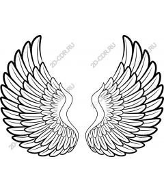 Majestic Wings