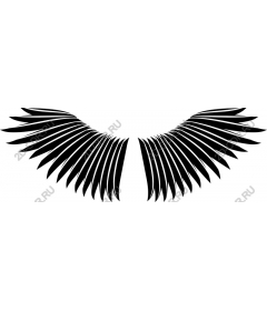  Black Wing