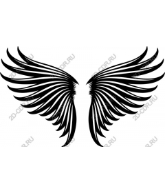 Majestic Wings