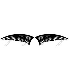  Elegant black wing