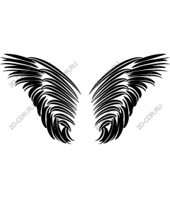  Black Wings
